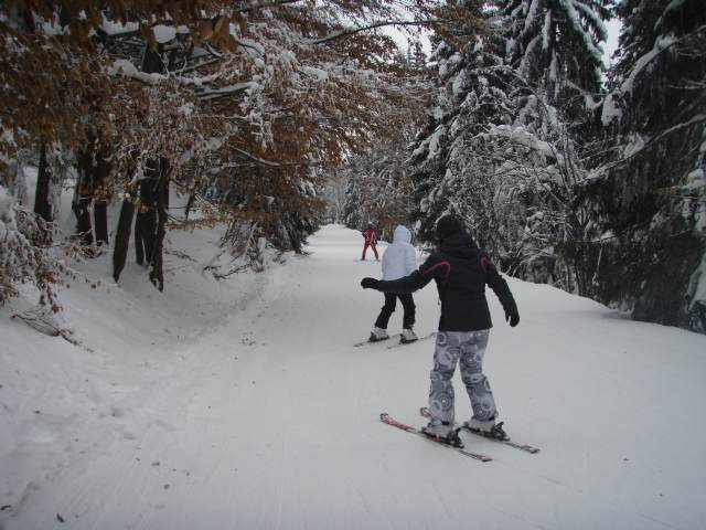 Spinleruv Mlyn Februari 2010